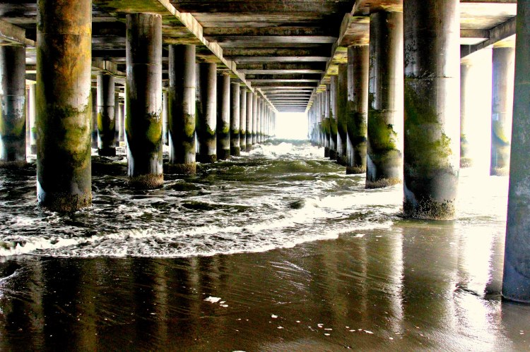 21682325186_8aef7318b8_k