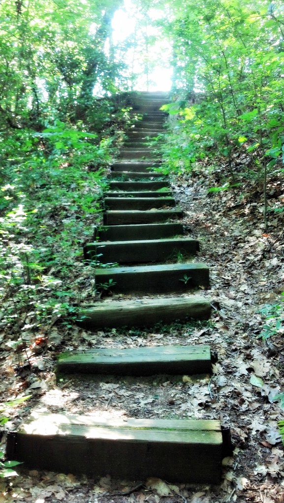 Wooded Stairway