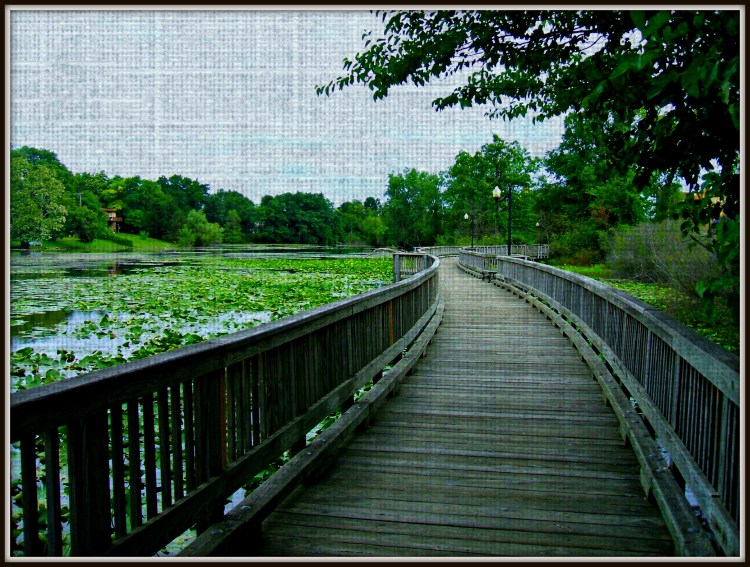 Water Walkway
