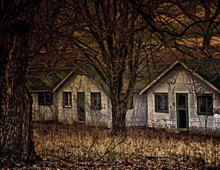 Photo credit: Susan Ogden